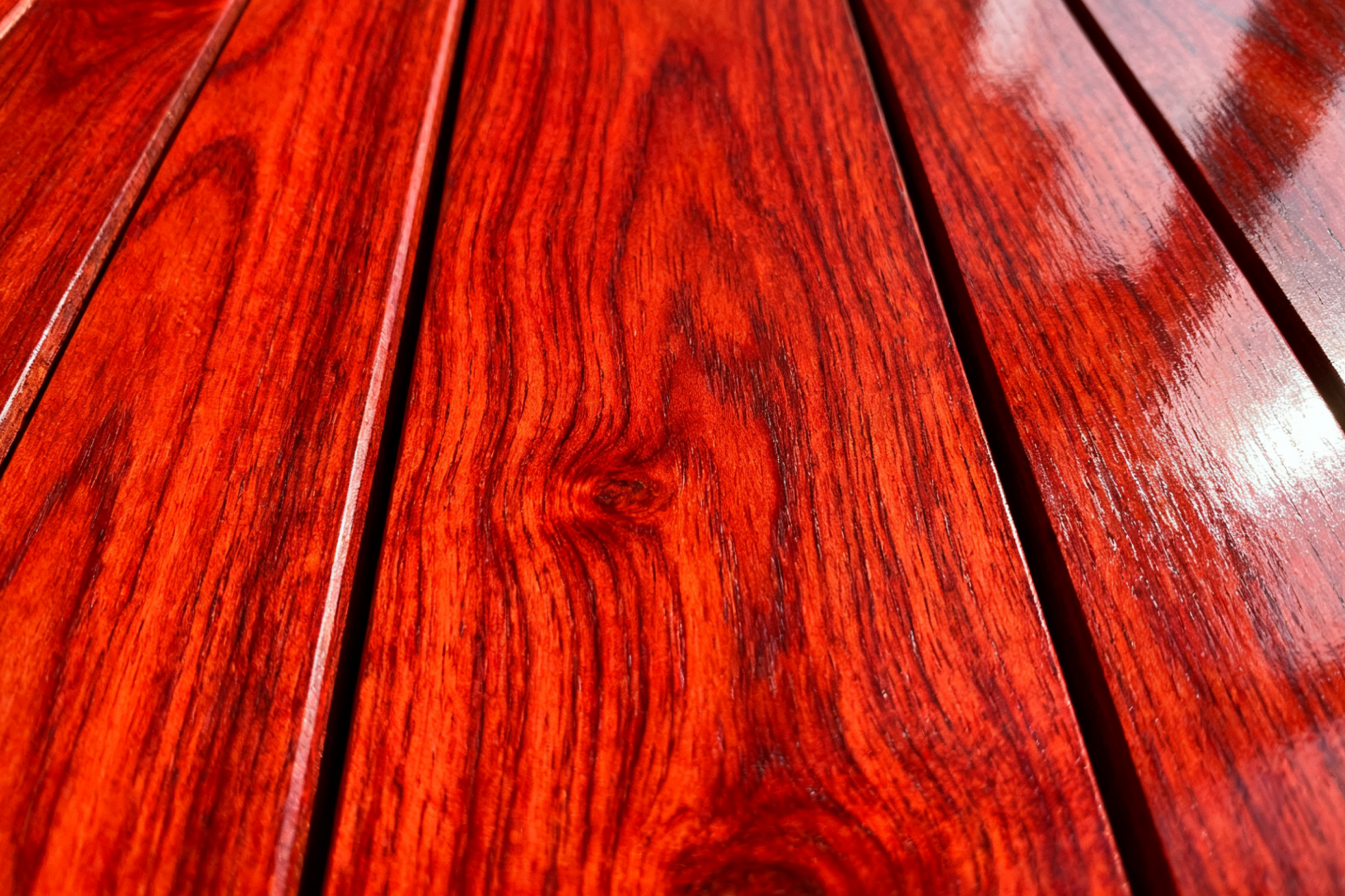 Bulk Ordering & Distribution